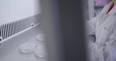 Biologist Working In Laboratory, Closeup View Of Woman Scientist Hands And Took For Examining Virus video