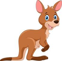 Cartoon funny Kangaroo isolated on white background vector
