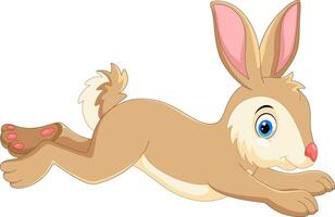 Cartoon happy rabbit running vector