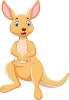 Cartoon funny Kangaroo isolated on white background vector