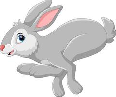 Cute cartoon rabbit running on white background vector
