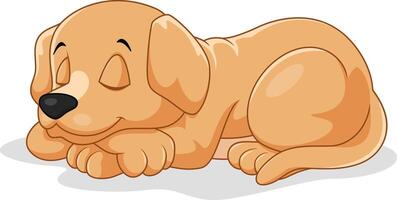 Cute little puppy sleeping isolated on white background vector