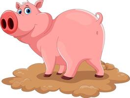 Cartoon funny pig on white background vector