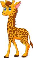 Cute baby giraffe cartoon isolated on white background vector