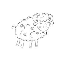 Sketch of a cute ram with horns. Simple illustration in doodle style vector