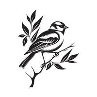Sparrow bird on a tree branch. Black and white ink illustration. Stock Illustration vector