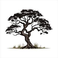 silhouette of big tree in summer on isolated white background Pro vector