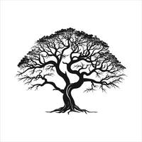 silhouette of big tree in summer on isolated white background Pro vector