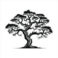 silhouette of big tree in summer on isolated white background Pro vector
