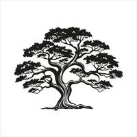 silhouette of big tree in summer on isolated white background Pro vector