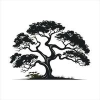 silhouette of big tree in summer on isolated white background Pro vector