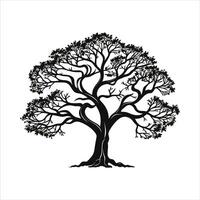 silhouette of big tree in summer on isolated white background Pro vector