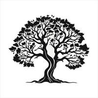 silhouette of big tree in summer on isolated white background Pro vector