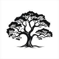 silhouette of big tree in summer on isolated white background Pro vector