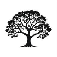 silhouette of big tree in summer on isolated white background Pro vector