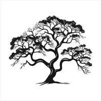 silhouette of big tree in summer on isolated white background Pro vector