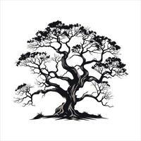 silhouette of big tree in summer on isolated white background Pro vector