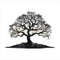 silhouette of big tree in summer on isolated white background Pro vector