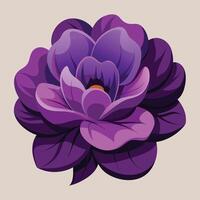 Illustration of a vibrant purple flower with layered petals on a light beige background. vector