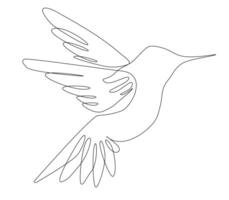 One continuous line drawing of cute hummingbird vector