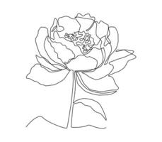 Continuous line drawing of a flower vector