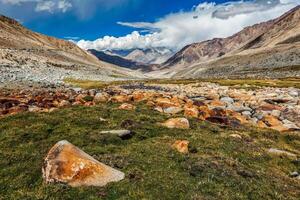 Himalayan landscape. Ladakh, India photo