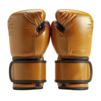 Boxing gloves isolated on transparent background png