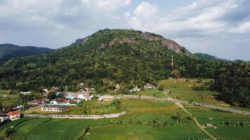 Panorama of the Nglanggeran Ancient Volcano ecotourism area in the afternoon using a drone. Aerial photo of an ancient stone hill covered with lush trees and surrounded by rice fields and countryside