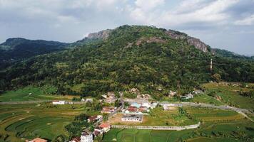 Panorama of the Nglanggeran Ancient Volcano ecotourism area in the afternoon using a drone. Aerial photo of an ancient stone hill covered with lush trees and surrounded by rice fields and countryside