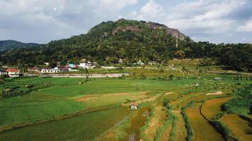 Panorama of the Nglanggeran Ancient Volcano ecotourism area in the afternoon using a drone. Aerial photo of an ancient stone hill covered with lush trees and surrounded by rice fields and countryside