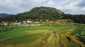 Panorama of the Nglanggeran Ancient Volcano ecotourism area in the afternoon using a drone. Aerial photo of an ancient stone hill covered with lush trees and surrounded by rice fields and countryside