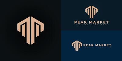 Abstract initial hexagon letter PM or MP logo in gold color isolated on multiple background colors. The logo is suitable for real estate and property business logo design inspiration templates. vector