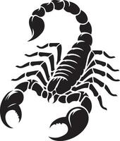Scorpion Silhouette on white background vector