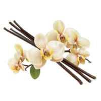 Vaporizer Orchid Flowers with Sticks on Transparent background AI-Generative png