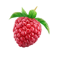 Red Raspberry with Green Leaf and Glossy Surface on Transparent background AI-Generative png