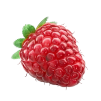 Glossy Red Raspberry with Green Stem on Transparent background AI-Generative png