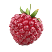 Shiny Red Raspberry with Green Stem Floating on Transparent background AI-Generative png