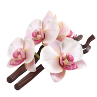 Orchids and Vanilla Sticks on Transparent background AI-Generative png