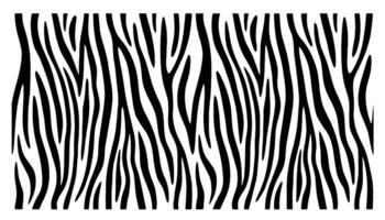 Zebra print, animal skin, tiger stripes, abstract pattern, line background, fabric. vector