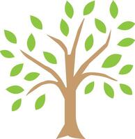 tree, green leaves, vector