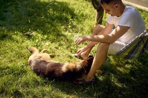 man rests and listens to music in a hammock, his dog rests nearby photo