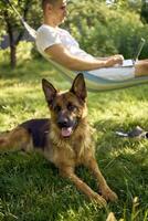 man works on a laptop in a hammock in the garden, next to his pet dog photo