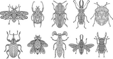 A collection of beetles and insects in a linear style. Linear illustration vector