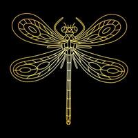 A golden beetle in a linear style. Linear illustration vector