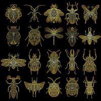 A collection of golden beetles in a linear style. Linear illustration vector