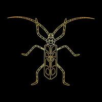 A golden beetle in a linear style. Linear illustration vector