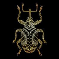 A golden beetle in a linear style. Linear illustration vector