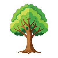 simple flat style tree design vector