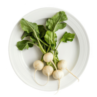 Turnips on a white plate transparent background png