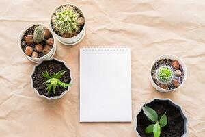 Blank empty notebook sheet and various green plants succulents cacti in pots on a background of craft paper with folds. photo